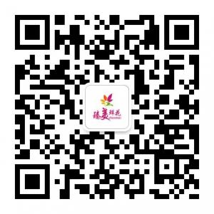 臻美ZHENMEI鲜花微信公众号