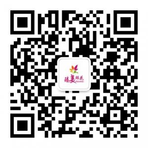 臻美鲜花网微信公众号