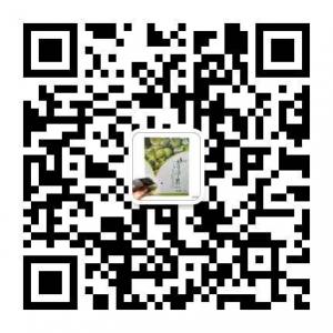 第三餐清净果总代微信公众号