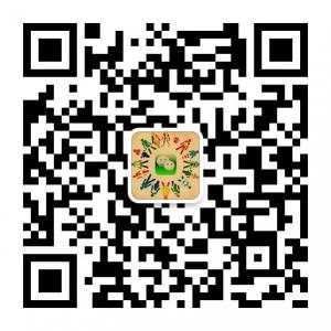 公众帐号排行榜微信公众号
