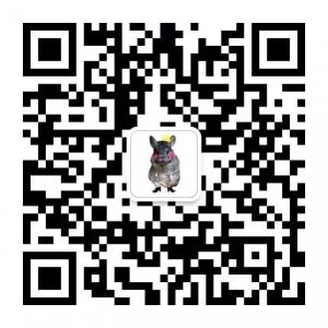 半猫真Shoes微信公众号