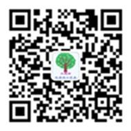 大槐树优质进口贸易微信公众号