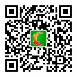 中国城乡在线微信公众号