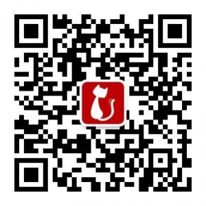 长治本地猫微信公众号