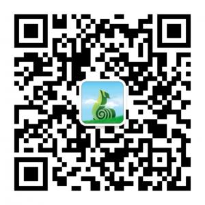 新发现植发微信公众号