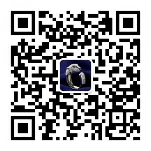欧洲站潮流资讯微信公众号