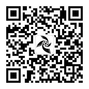 新影传媒工作室微信公众号