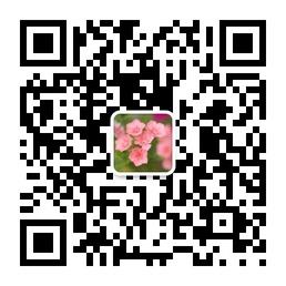 爱生活爱美丽微信公众号