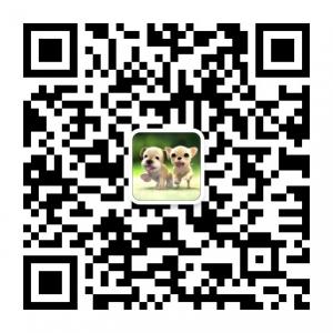 潮流大视野微信公众号