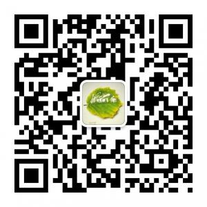 白沟箱包厂微信公众号