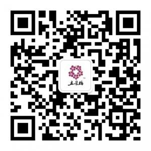 五朵梅wuduomei微信公众号