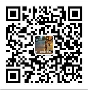 视频搬运狗微信公众号