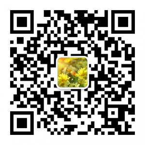 走在阳光中微信公众号