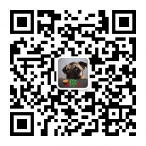 清风逗你玩微信公众号