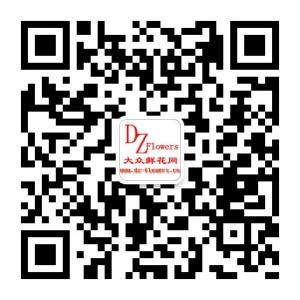 大众鲜花网微信公众号