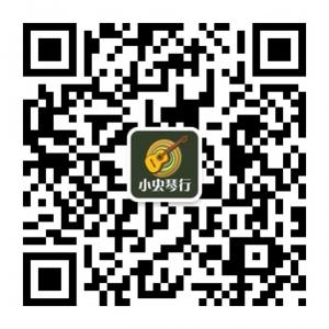泉州小虫琴行微信公众号
