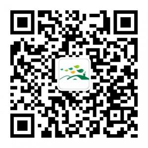 昕佳居硅藻泥微信公众号