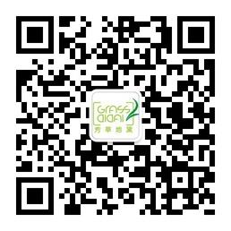 深圳芳草地黛专业微信公众号