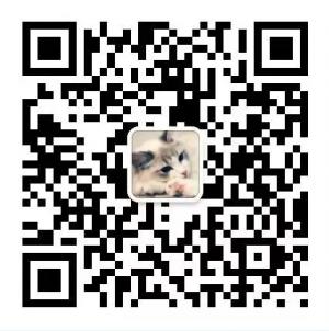 小猫猫在江湖微信公众号