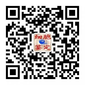 细胞鉴定-DNA-亲子鉴定微信公众号