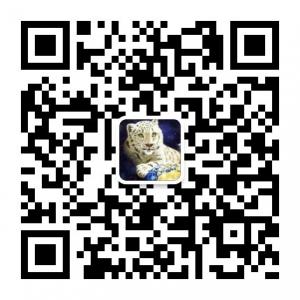 淡色的不知火微信公众号