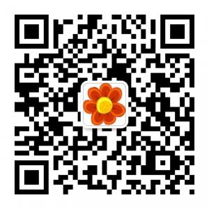 奇乐儿童资源微信公众号