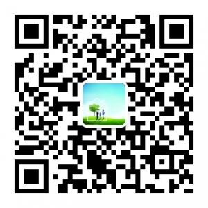 读点不八卦微信公众号