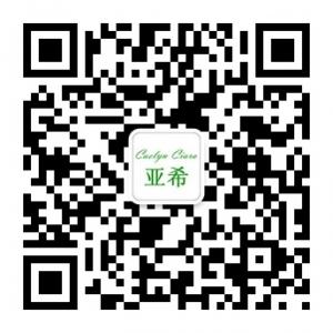 CaelynCiara亚希微信公众号