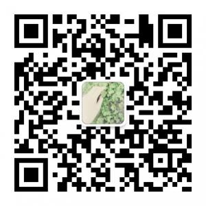 十二家的唯仔微信公众号