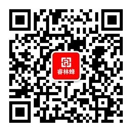 睿林蜂广告微信公众号
