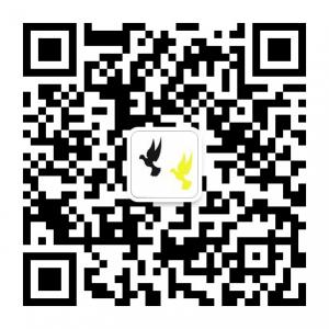 淘希望工作室微信公众号