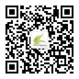 商业模式网微信公众号