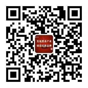 华莱健安化黑茶微信公众号