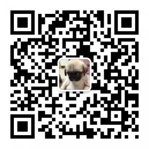 kkshankairui@163.com微信公众号