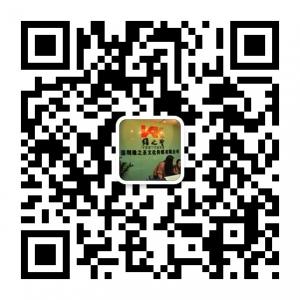 维之圣梦幻团队微信公众号