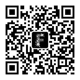 丫七大小姐微信公众号