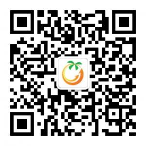 椰果国际股份微信公众号