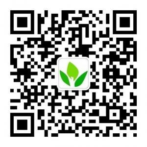 中国器官移植网微信公众号