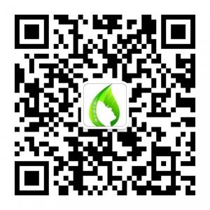 小鱼护肤之家微信公众号