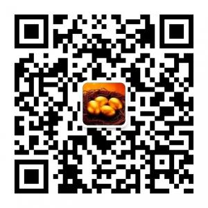 博腾海外投资微信公众号