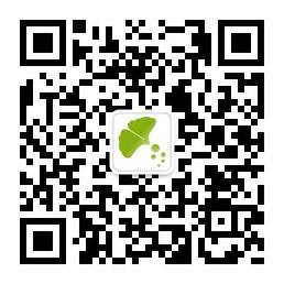 银杏树价格微信公众号