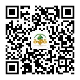 外汇投资现价实时微信公众号