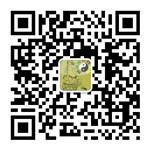 按摩穴位百科微信公众号