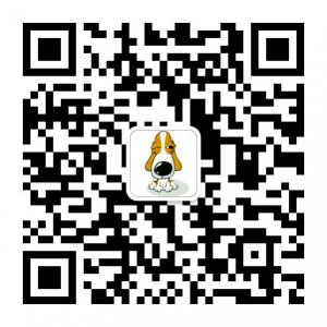 狗与爱的世界微信公众号