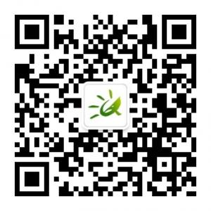 东营金桥国际旅行微信公众号