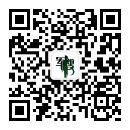 每个军人背后都有微信公众号