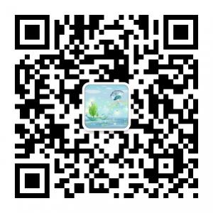 快乐英语口语微信公众号