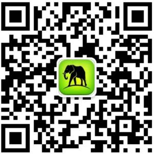 广州旅游网官网微信公众号