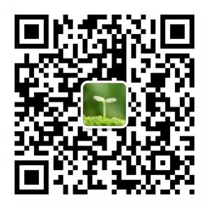 带出好孩子微信公众号