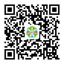 绿叶多可丽全球招商总部微信公众号
